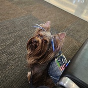 Photo submitted by Nori