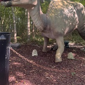 Photo submitted by Tomminesha