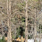 Photo submitted by Robyn