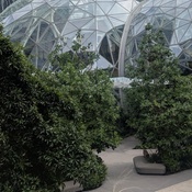 Photo submitted by Tia