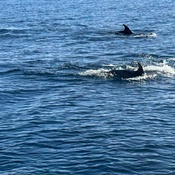 Photo submitted by Diana