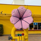 Photo submitted by Trina