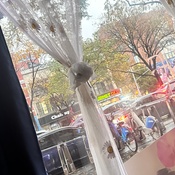 Photo submitted by Zhen-Mei