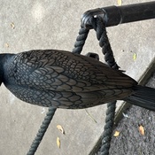 Photo submitted by Joan