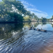 Photo submitted by Vikki