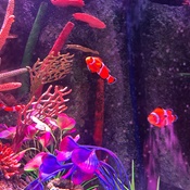 Photo submitted by Yazmin