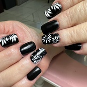 Photo submitted by T