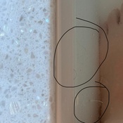 Photo submitted by Me