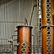 Photo submitted by Rashell