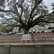 Photo submitted by Jo