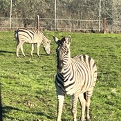 Photo submitted by Charmion