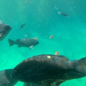 Photo submitted by Celia