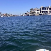 Photo submitted by Guadalupe