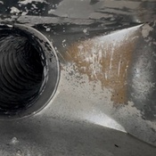 Photo submitted by Jennifer