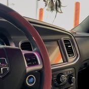 Photo submitted by Trey