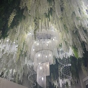 Photo submitted by DANIELLE