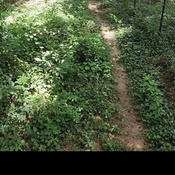 Photo submitted by LaToya