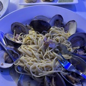 Photo submitted by Guest