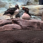 Photo submitted by Margaret