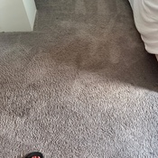 Photo submitted by Guest