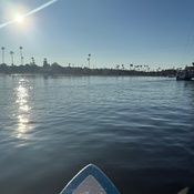 Photo submitted by Guest