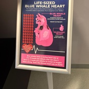 Photo submitted by Carla