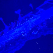 Photo submitted by Alexandra