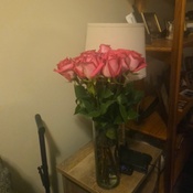 Photo submitted by Anne