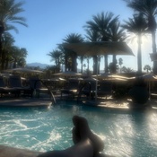 Photo submitted by Guest