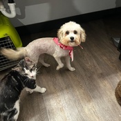 Photo submitted by Britnee