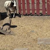 Photo submitted by Guest