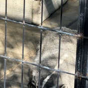 Photo submitted by Janet