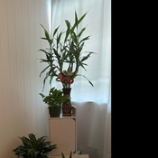 Photo submitted by Fidelia