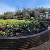 Photo submitted by Heather