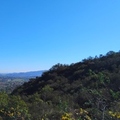 Photo submitted by Theresa