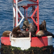 Photo submitted by william