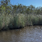 Photo submitted by Julia