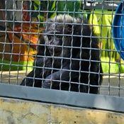 Photo submitted by Debbie