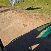 Photo submitted by Christina