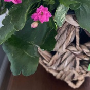 Photo submitted by luana