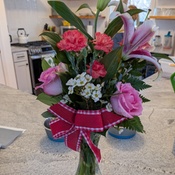 Photo submitted by Tim