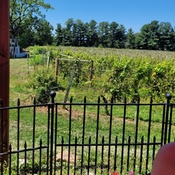 Photo submitted by James