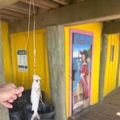 Photo submitted by nicci.schorsch