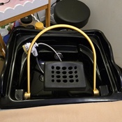 Photo submitted by Shawna