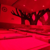 Photo submitted by Bam