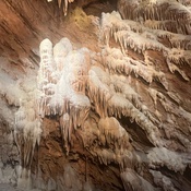 Photo submitted by Guest