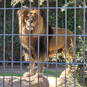 Photo submitted by Cathy