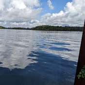 Photo submitted by Nyx