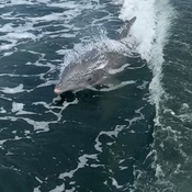 Photo submitted by Cherie