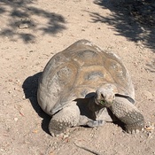 Photo submitted by Diane